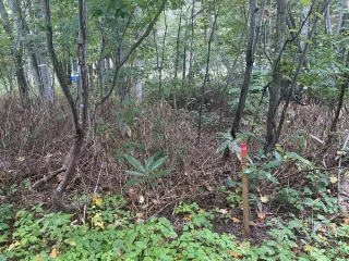 458560775_1040661350610280_2729119688958198225_n