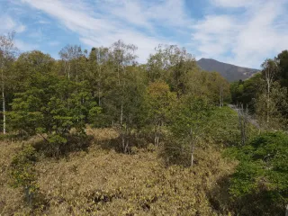 RT Corner potential 2nd floor views (1)