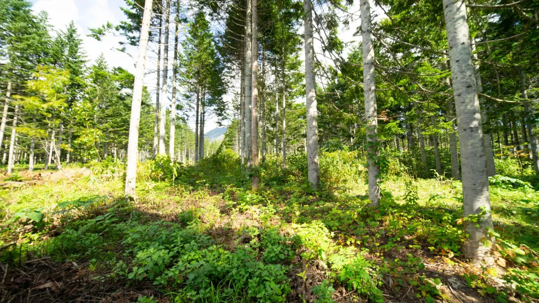 Annupuri Residences Lot#1 (3)